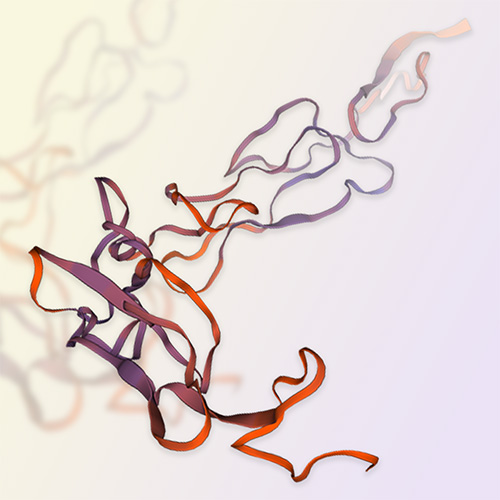 重组人NGFR蛋白-ACROBiosystems百普赛斯