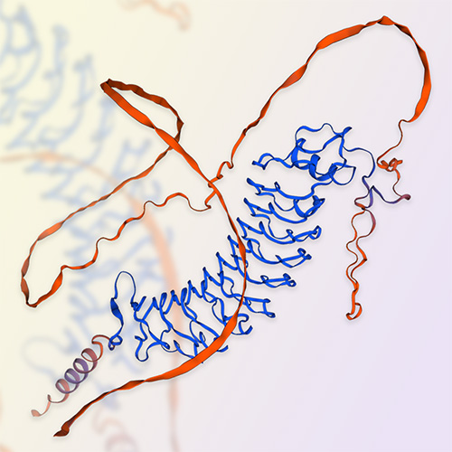 重组人Nogo受体蛋白-ACROBiosystems百普赛斯