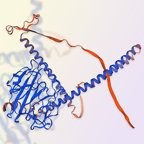 重组人NPTX2蛋白-ACROBiosystems百普赛斯