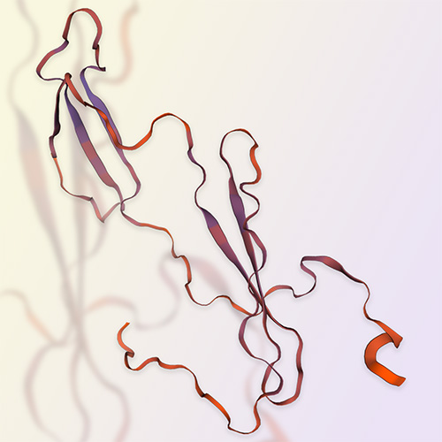 重组人多效生长因子PTN（Pleiotrophin）-ACROBiosystems百普赛斯