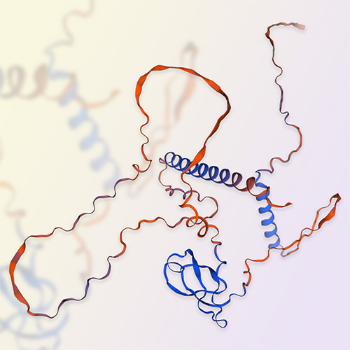 重组人SMN1蛋白-ACROBiosystems百普赛斯