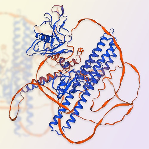 APLP2蛋白-ACROBiosystems百普赛斯