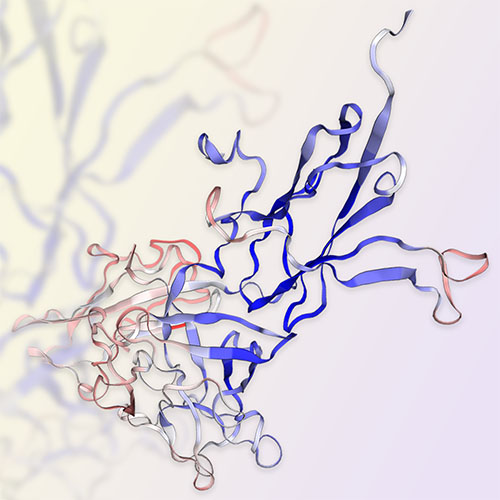 FGF R3 (IIIb)/FGF R3B蛋白-ACROBiosystems百普赛斯