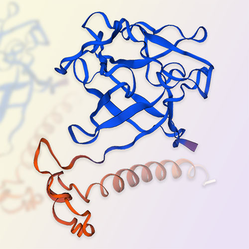 FGF7蛋白-ACROBiosystems百普赛斯