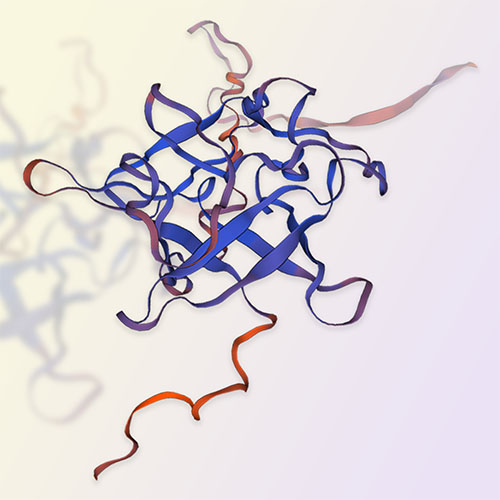 FGF23蛋白-ACROBiosystems百普赛斯