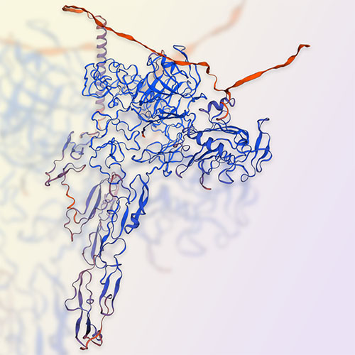 THBS2/Thrombospondin-2蛋白-ACROBiosystems百普赛斯