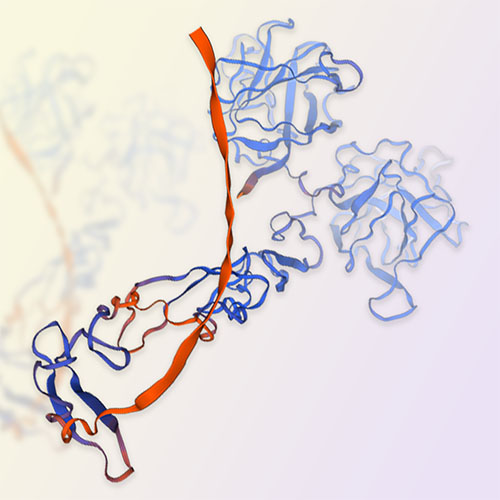 重组人EDIL3蛋白-ACROBiosystems百普赛斯