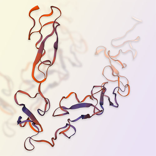 重组人NOTCH3蛋白-ACROBiosystems百普赛斯