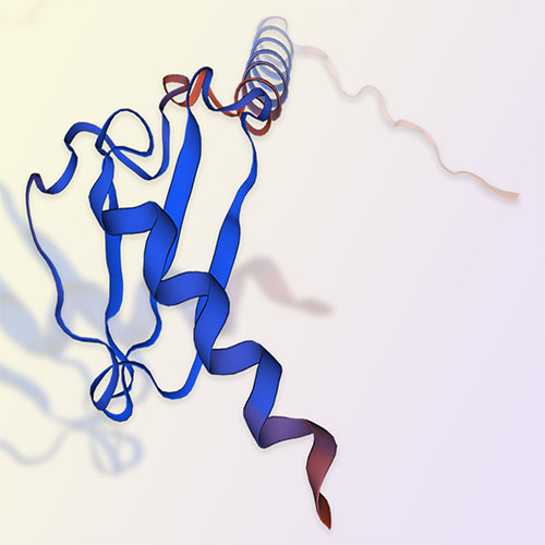 重组人CXCL2蛋白-ACROBiosystems百普赛斯