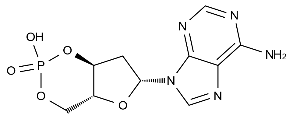 CATO_（4AR，6R，7aS）-6-（6-氨基-9H-嘌呤-9-基）-2-羟基四氢-4H-呋喃[3,2-d][1,3,2]二氧杂膦-2-氧化物_1157-33-1_97%