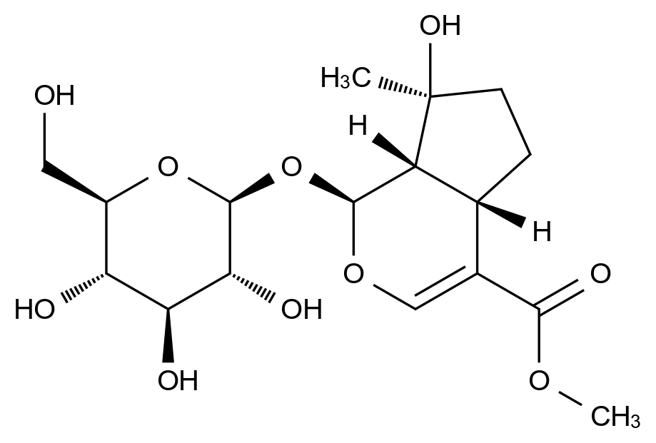 CATO_(1S,4aS,7S,7aS)-7-羟基-7-甲基-1-(((2S,3R,4S,5S,6R)-3,4,5-三羟基-6-(羟甲基)四氢-2H-吡喃-2-基)氧基)-1,4a,5,6,7,7a-六氢环戊并[c]吡喃-4-羧酸甲酯_64421-27-8_97%