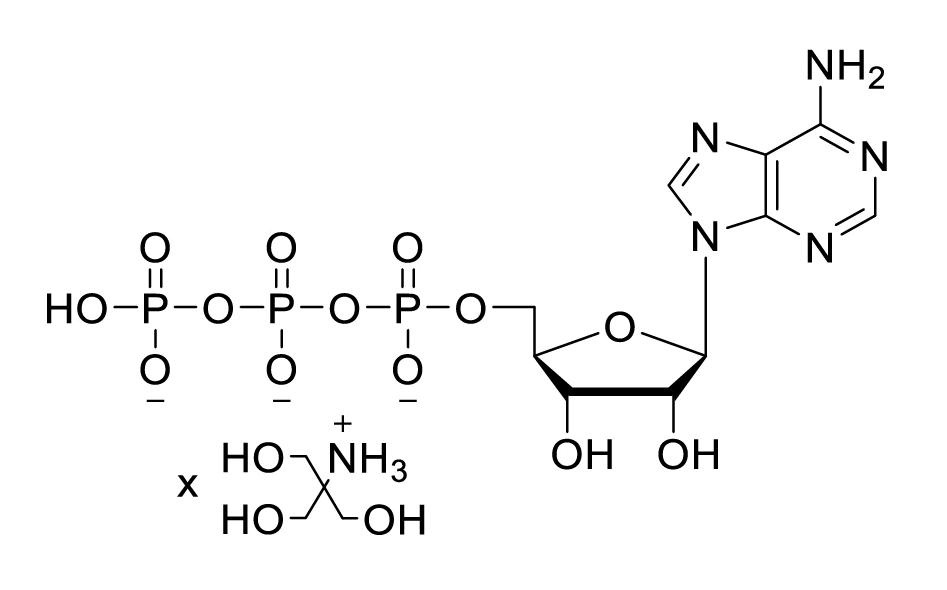 腺苷酸，腺苷三磷酸