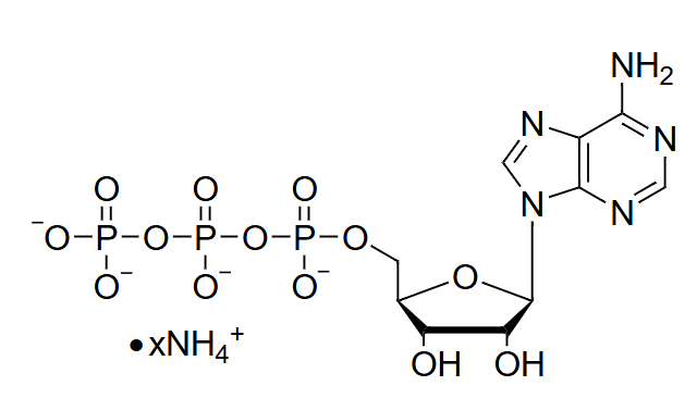 腺苷酸，腺苷三磷酸
