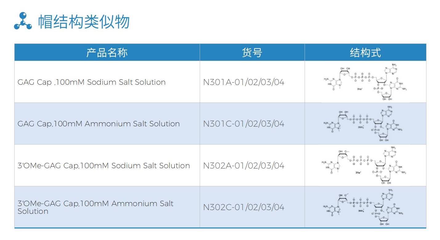 帽结构类似物(1).jpg