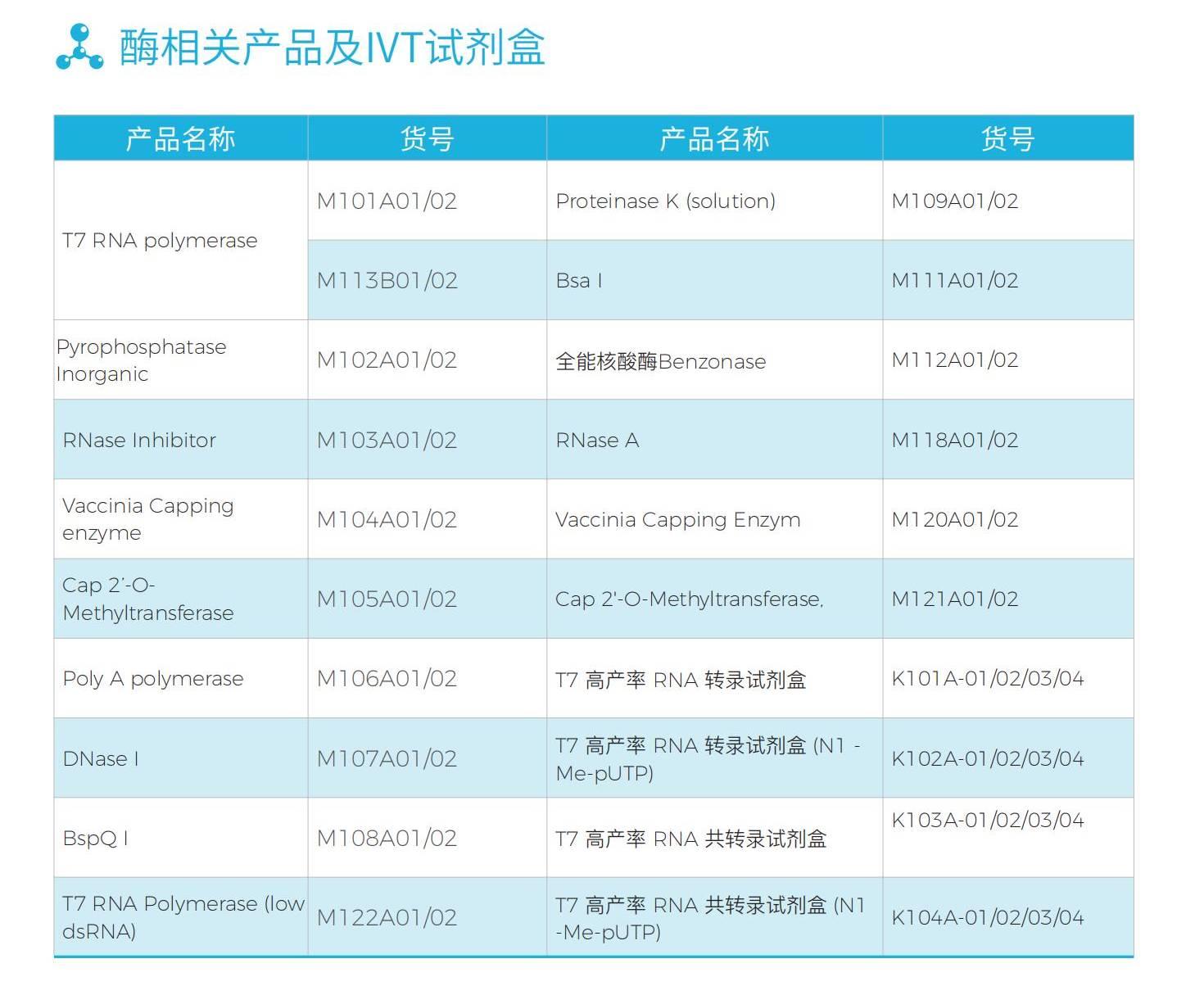 酶相关产品及IVT试剂盒(1).jpg