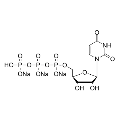 尿苷-5'-三磷酸