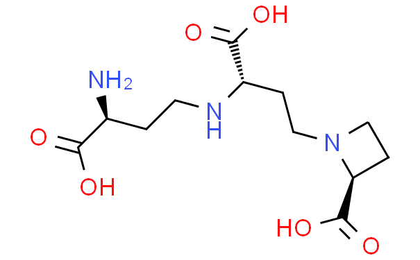 三磷酸腺苷二钠（ATP）