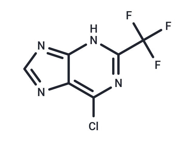 化合物 6-Chloro-2-(trifluoromethyl)-9H-purine|TNU1104|TargetMol