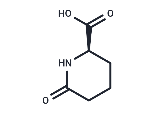 化合物 D-Pyrohomoglutamic Acid|T71769|TargetMol