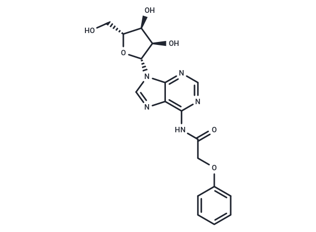 化合物 N6-Phenoxyacetyladenosine|TNU0706|TargetMol