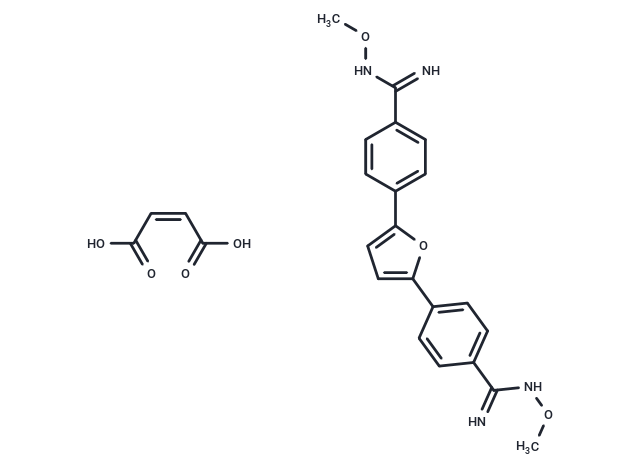 化合物 Pafuramidine maleate|T24587|TargetMol