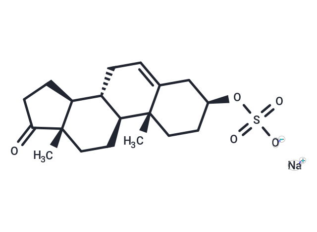 化合物 Dehydroepiandrosterone sulfate sodium salt|T41329|TargetMol