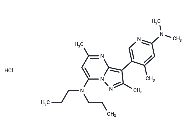 R 121919 hydrochloride|T38228|TargetMol