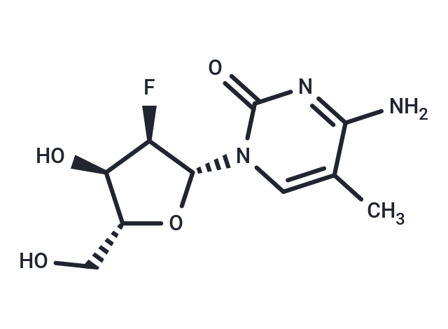 化合物 2’-Deoxy-2’-fluoro-5-methylcytidine|TNU0211|TargetMol