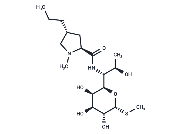 化合物 Lincomycin|T1235L|TargetMol