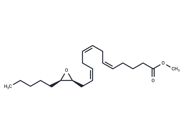 化合物 14S(15R)-EET methyl ester|T85051|TargetMol