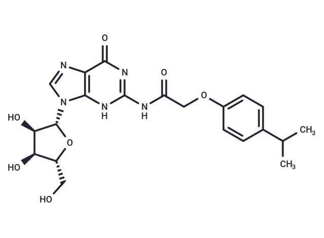 化合物 N2-(Isopropylphenoxyacetyl)guanosine|TNU0934|TargetMol