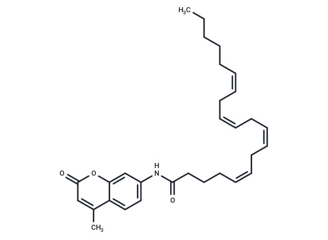 化合物 AMC Arachidonoyl Amide|T84550|TargetMol