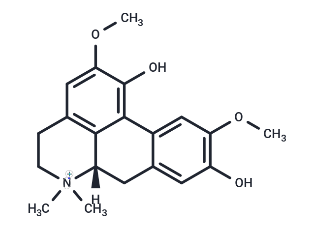 化合物 Laurifoline|T20645|TargetMol