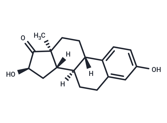 16αOHE|T36039|TargetMol