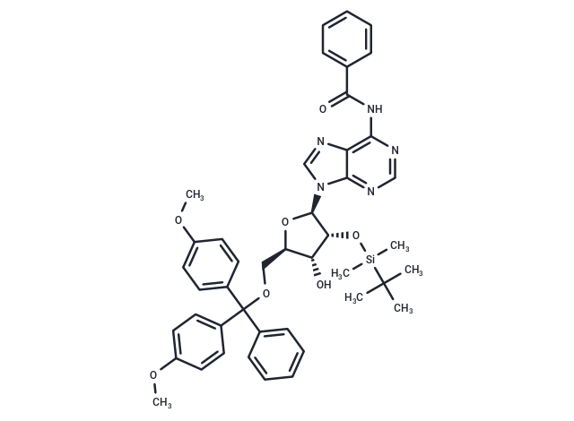 5'-O-DMT-2'-O-TBDMS-N-Bz-Adenosine|T37146|TargetMol