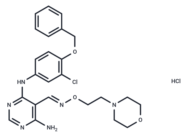 化合物 JNJ28871063 hydrochloride|T22881|TargetMol