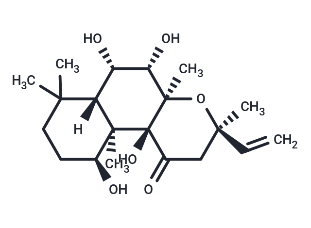 Deacetylforskolin|T36720|TargetMol