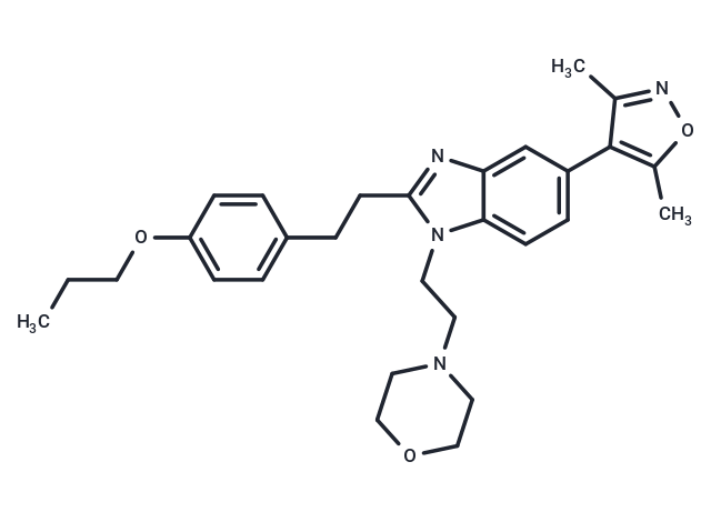 化合物 PF-CBP1|T3973|TargetMol