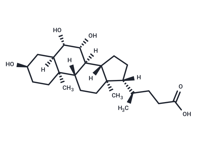 β-Muricholic Acid|T35400|TargetMol