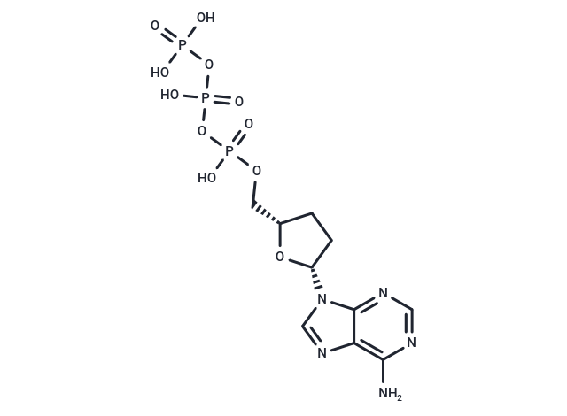 化合物 ddATP|T10982|TargetMol