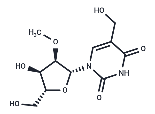 化合物 2’-O-Methyl-5-hydroxymethyluridine|TNU0036|TargetMol