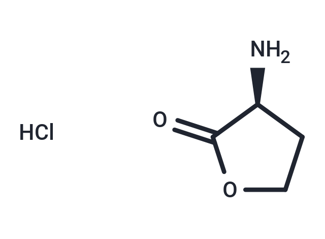 L-Homoserine lactone (hydrochloride)|T38313|TargetMol