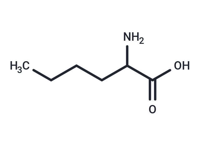 化合物 2-Aminohexanoic acid|T66086|TargetMol