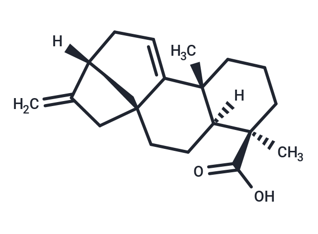 化合物 Grandiflorenic acid|T20217|TargetMol