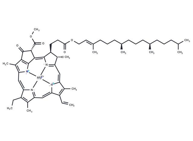 化合物 Chlorophyll a|TN6942|TargetMol