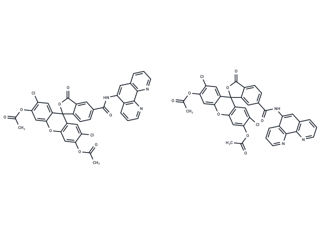 化合物 Phen Green SK diacetate|T41273|TargetMol