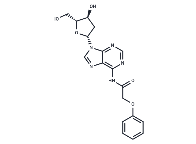 化合物 2’-Deoxy-N6-Phenoxyacetyladenosine|TNU0703|TargetMol