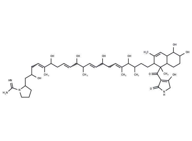 化合物 Lydicamycin|T33031|TargetMol