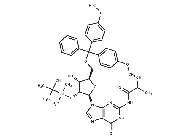 5'-O-DMT-2'-O-iBu-N-Bz-Guanosine|T40921|TargetMol