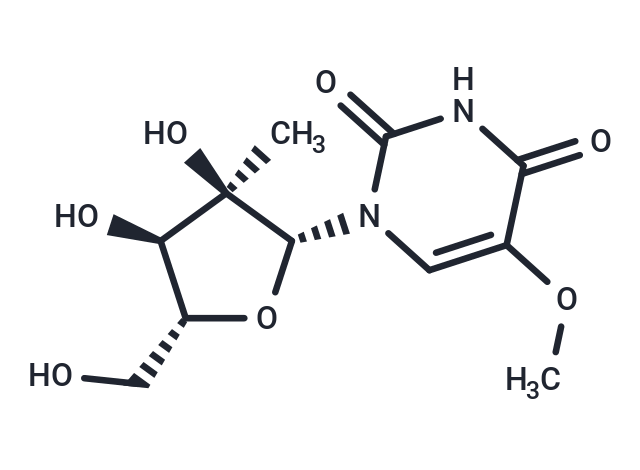 化合物 2’-C-Methyl-5-methoxyuridine|TNU0145|TargetMol